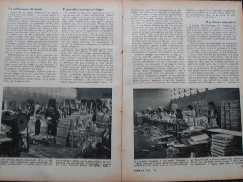 1952 imballaggi per frutta - 1952,